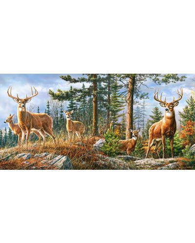 Puzzle Castorland de 4000 piese - Royal Deer Family - 2