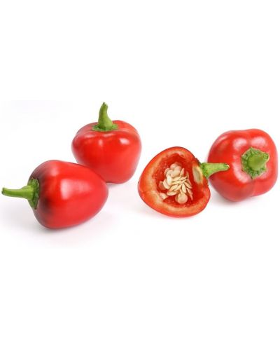 Umplutură sol Veritable - Lingot, Mini căpșuni roșii, fără OMG - 2