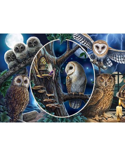 Puzzle Schmidt de 1000 piese - Lisa Parker Mysterious Owls - 2