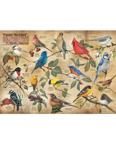 Cobble Hill Puzzle de 1000 de piese - Păsări din America de Nord - 2