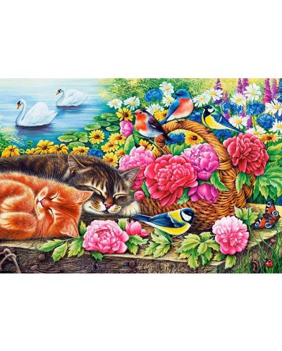Castorland 1000 piese puzzle - Pisicuță în grădină - 2