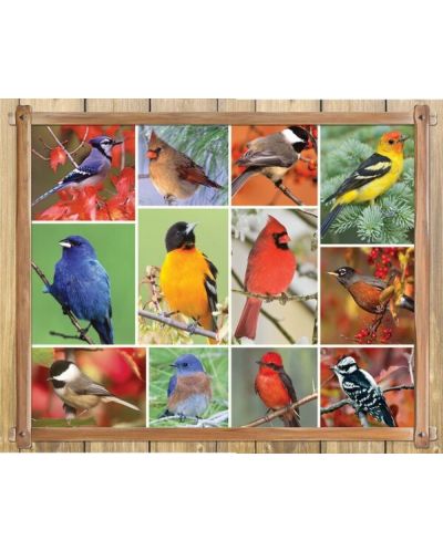 Puzzle Springbok de 1000 piese - Songbirds - 1