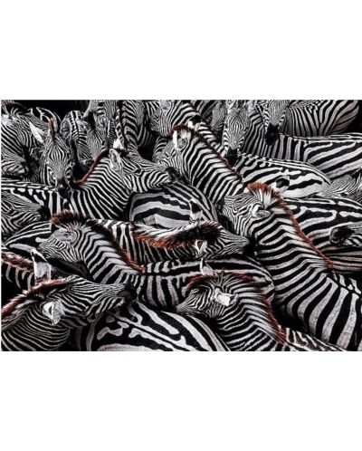 Puzzle Clementoni din 1000 piese - Zebre - 2