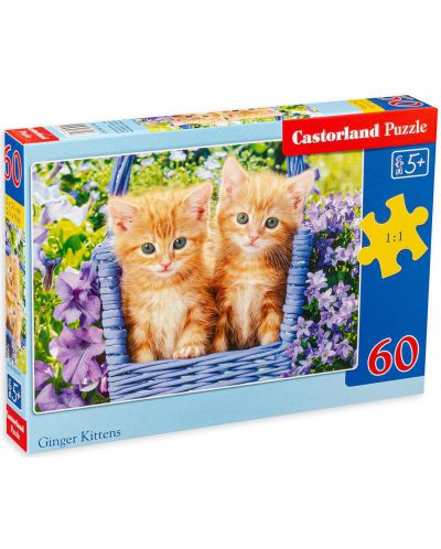 Castorland Puzzle de 60 de piese - Baby Kittens  - 1