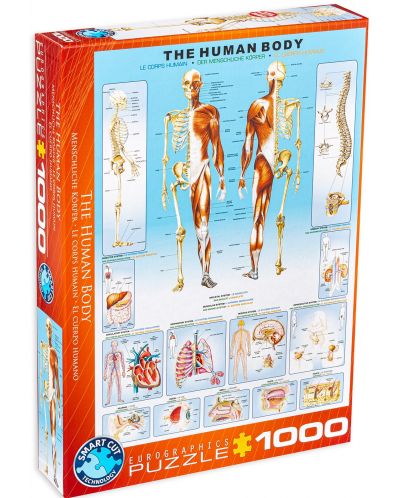 Puzzle Eurographics de 1000 piese – Corpul uman - 1