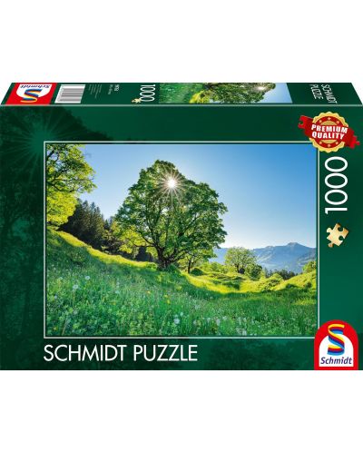 Puzzle Schmidt din 1000 de piese - St. Gallen, Elveția - 1