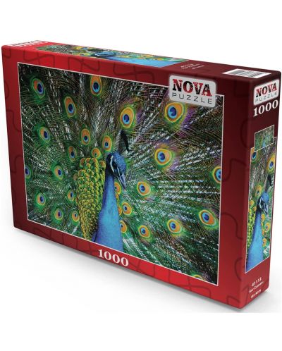 1000 de piese Nova Puzzle - Peacock - 1