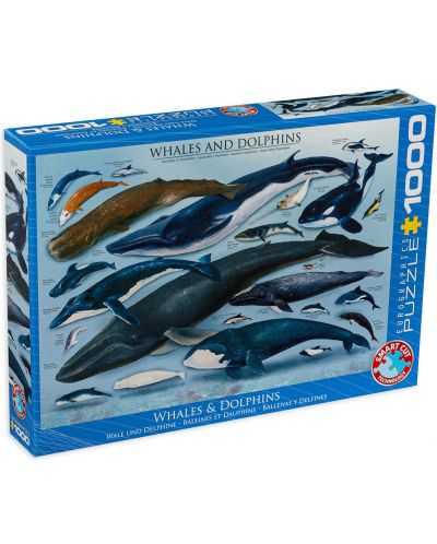 Puzzle Eurographics de 1000 piese – Balene si delfini - 1