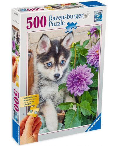Puzzle Ravensburger de 500 piese - Husky - 1