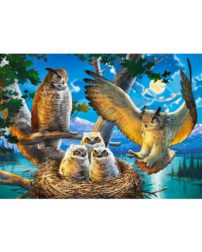 Puzzle Castorland de 180 piese - Owl Family - 2