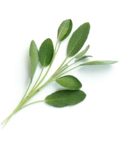 Umplutură sol Veritable - Lingot, Frunze de ceai de grădină, fără OMG - 2