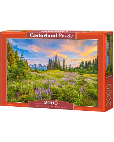 Puzzle Castorland din 2000 de piese - Culorile dimineții - 1