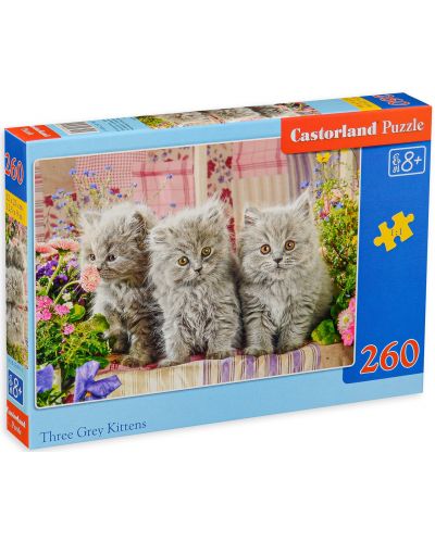 Puzzle Castorland de 260 piese - Three Grey Kittens - 1