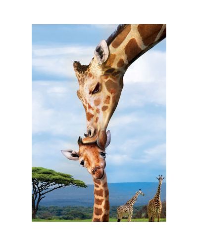 Puzzle Eurographics de 250 piese - Giraffes - 2