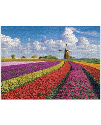 Puzzle Good  Puzzle din 1000 de piese - Flori în Olanda - 2