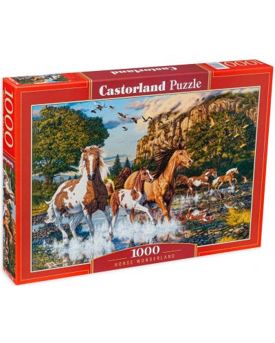 Puzzle de 1000 de piese Castorland - Cai în râu - 1