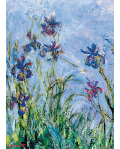 Puzzle Eurographics de 1000 piese – Irisi, Claude Monet - 2