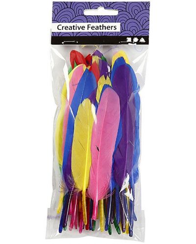 Pene pentru decorare Compania Creativ - 6 culori, 48 de buc - 1
