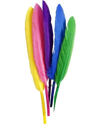 Pene pentru decorare Compania Creativ - 6 culori, 48 de buc - 3