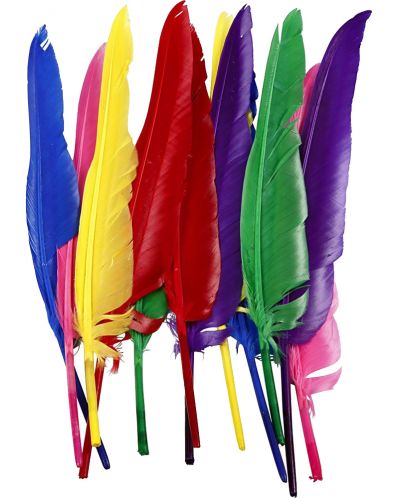 Pene pentru decorare Compania Creativ - 6 culori, 48 de buc - 2