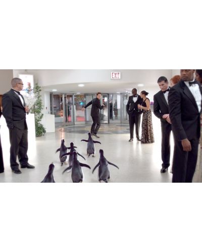 Mr. Popper's Penguins (Blu-ray) - 11