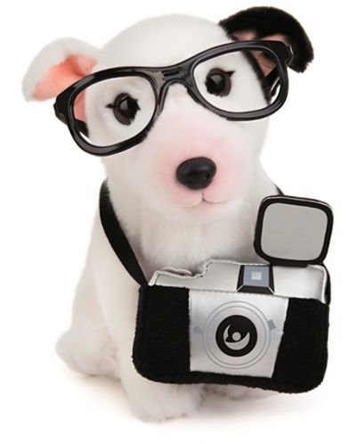 Jucărie de pluș Studio Pets - Charlie Bull Terrier, cu accesorii - 2