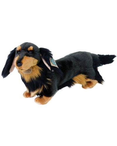 Jucărie de pluș Rappa Eco Friends - Dachshund Dog, în picioare, 36 cm - 2