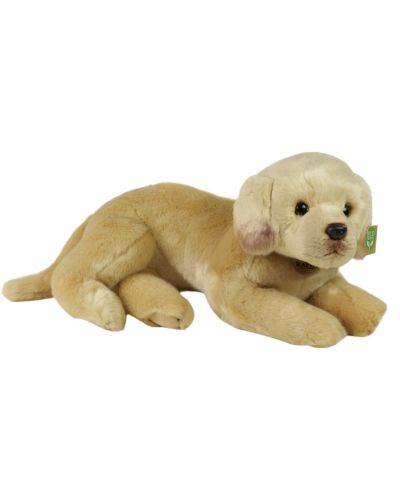 Jucărie de pluș Rappa Eco Friends - Câine labrador, 38 cm - 2