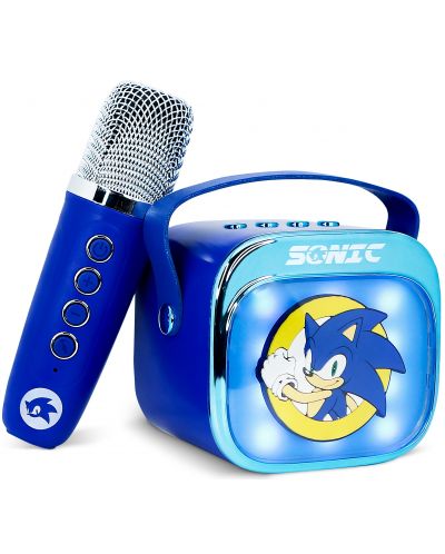 DUB SONIC ダブソニック　レゲエDUBBOX ダブボックス　美品 Boxa portabila OTL Technologies - Sonic the Hedgehog PopSing