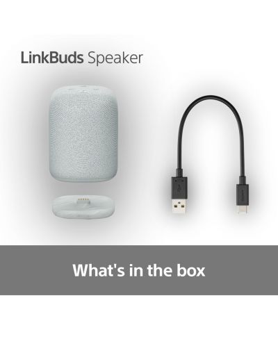 SONY LinkBuds Speaker グレー LinkBuds Speaker | Boxă portabilă | Boxe wireless | Sony România