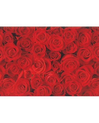 Hartie de impachetat cadouri Susy Card - Trandafiri roz, 70 x 200 cm - 1