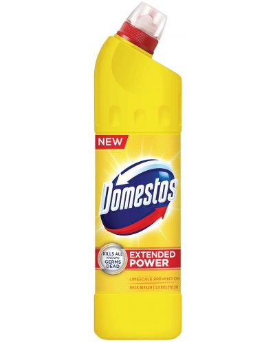 Detergent Domestos - Citrus, 750 ml - 1