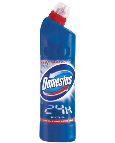 Detergent Domestos - Blue, 750 ml - 1