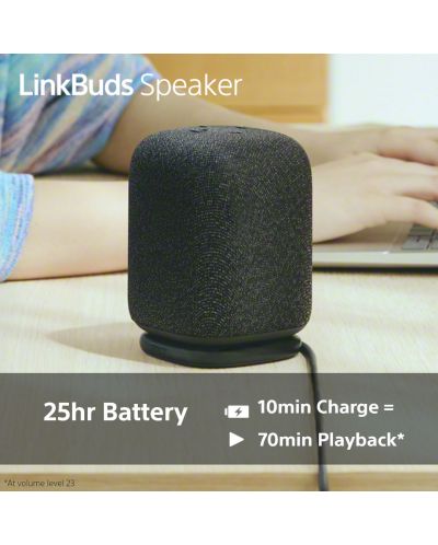 Boxa portabila Sony - LinkBuds Speaker, IPX4, gri | Ozone.ro
