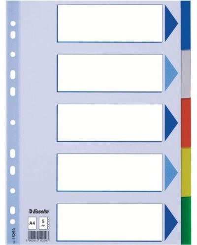 Separator Esselte - A4, 5 subiecte, 20 buc - 1