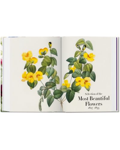 Redoute. The Book of Flowers (40th Edition) - 6