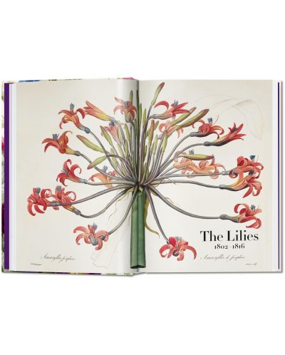 Redoute. The Book of Flowers (40th Edition) - 2