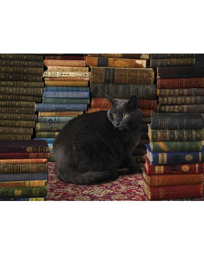 Puzzle Cobble Hill de 1000 piese - Pisica din biblioteca - 2