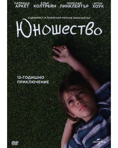 Boyhood (DVD) - 1
