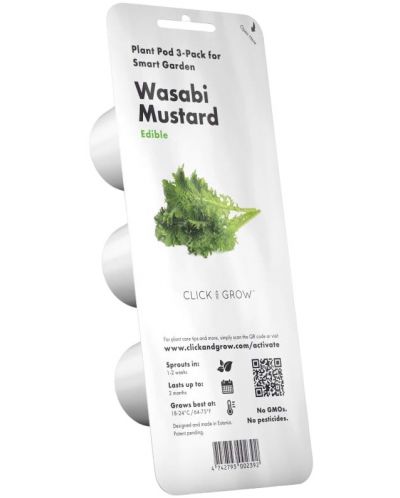 Semințe  Click and Grow - Muștar Wasabi, 3 rezerve - 1