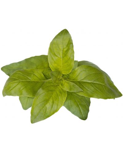 Semințe Click and Grow - Lime Basil, 3 rezerve - 1