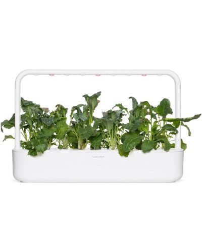Semințe Click and Grow - Italian Kale, 3 rezerve - 3