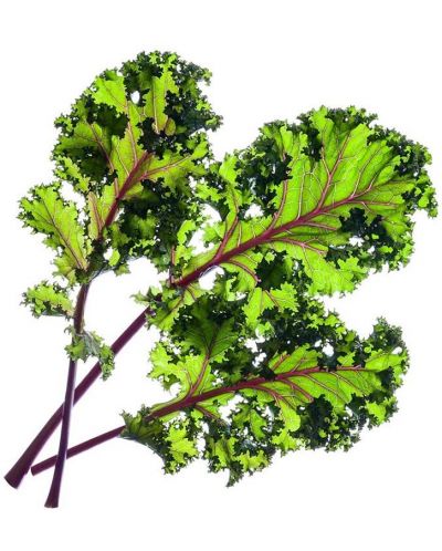 Semințe Click and Grow - Red kale, 3 rezerve - 2