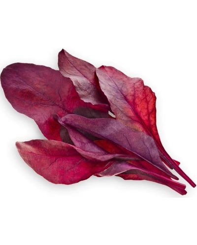 Semințe Click and Grow - Red leaf beet, 3 rezerve - 2