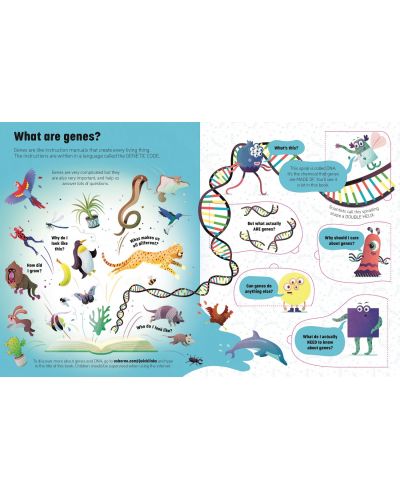 See Inside Genes and DNA - 3
