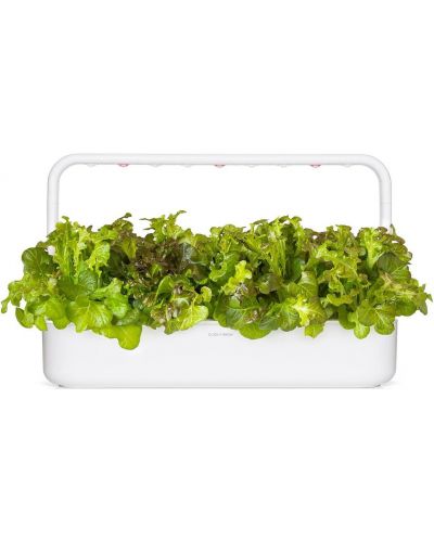 Semințe Click and Grow - Salata verde rosie Frunza de stejar, 3 rezerve - 4