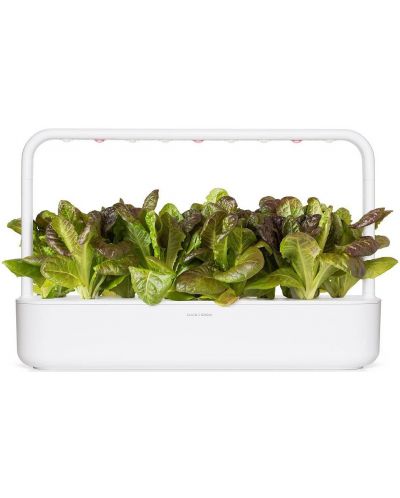 Semințe Click and Grow - Red Romaine lettuce, 3 rezerve - 4