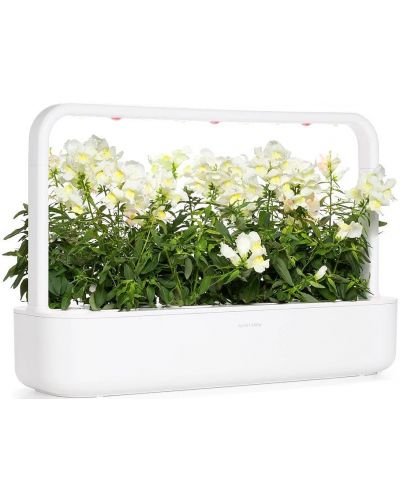 Semințe Click and Grow - White snapdragon, 3 rezerve - 4