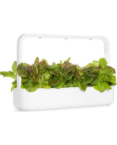 Semințe Click and Grow - Salată roșie, 3 rezerve - 5