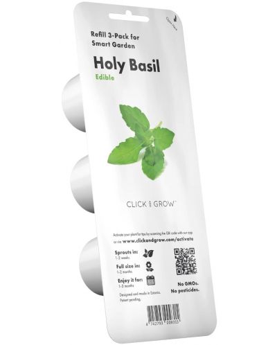 Semințe Click and Grow - Holy Basil, 3 rezerve - 1